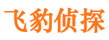 安县市婚姻调查